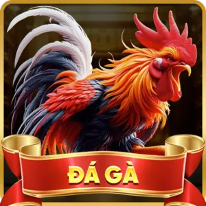 Hỗ trợ qua Hotline của 7789bet chính thức